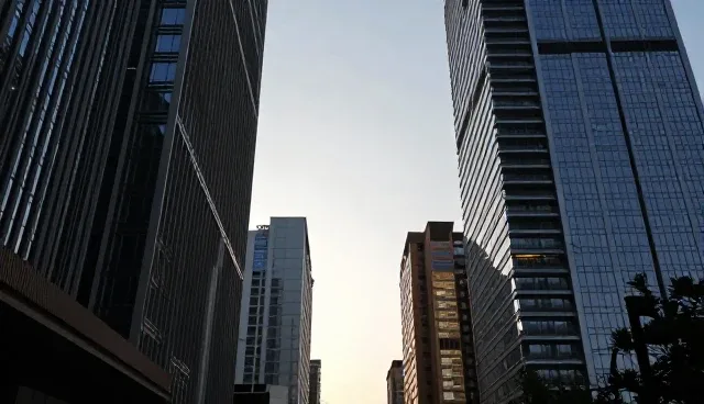 求职指导对人才流动的影响原因分析
